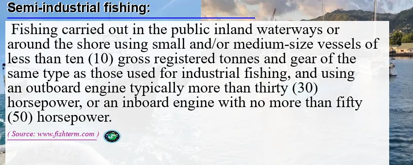 Image: Definition of semi-industrial fishing