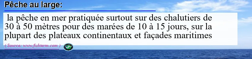 Image: Definition of pêche au large