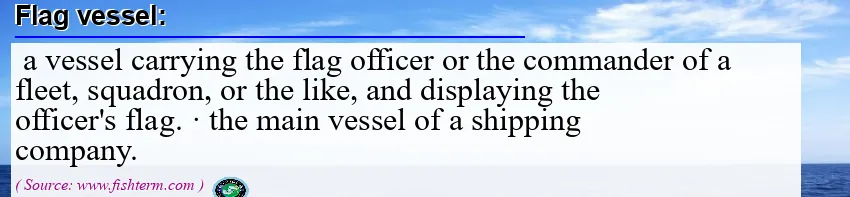 Image: Definition of flag vessel