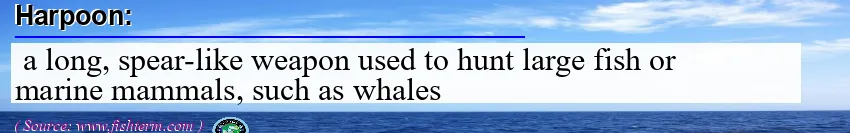 Image: Definition of harpoon Image: Definition of harpoon
