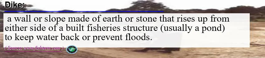 Image: Definition of dike