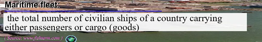 Image: Definition of merchant fleet