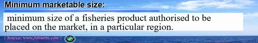 Image: Definition of minimum marketable size
