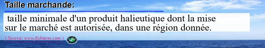 Image: Definition of taille marchande