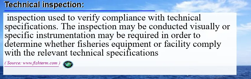 Image: Definition of technical inspection