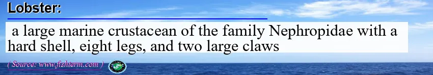 Image: Definition of lobster  Image: Definition of lobster