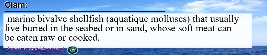 Image: Definition of clam