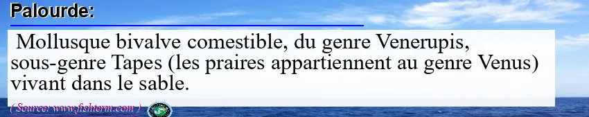 Image: Definition of palourde