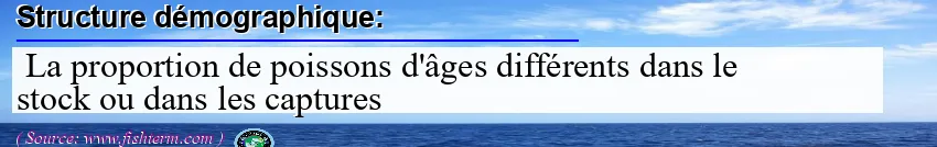 Image: Definition of structure démographique