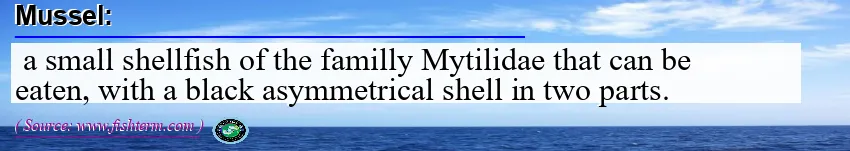 Image: Definition of mussel