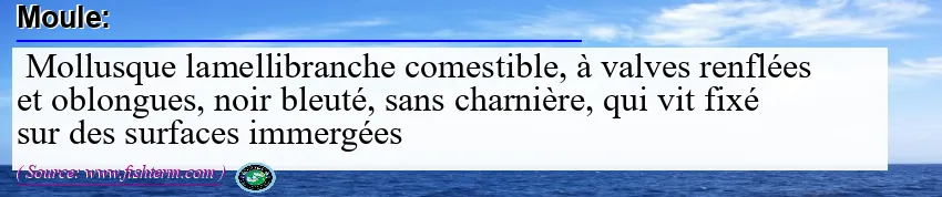 Image: Definition of moule  Image: Definition of moule