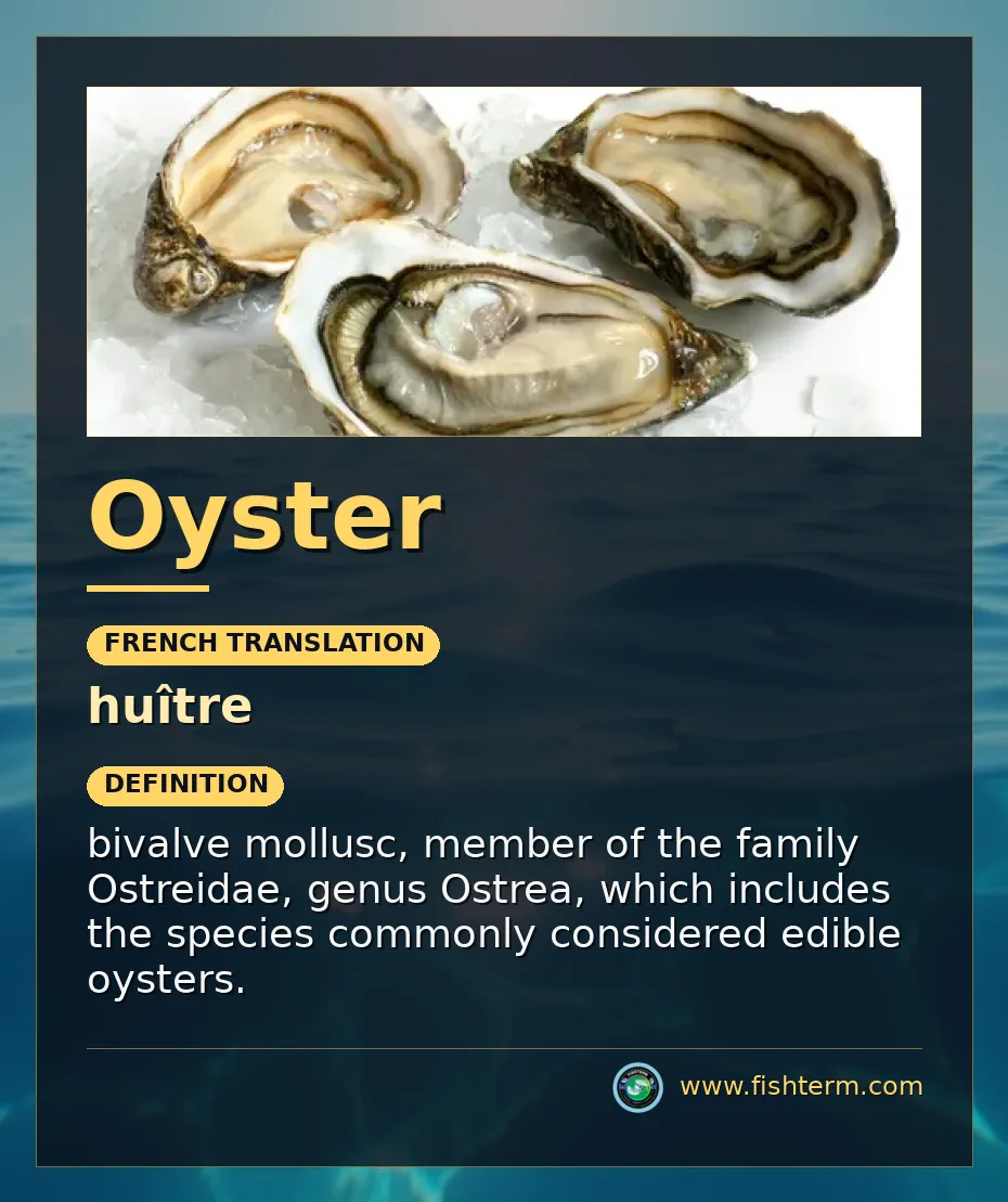 oyster