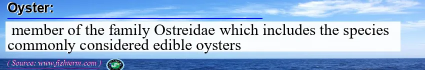 Image: Definition of oyster