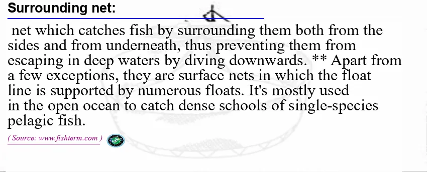 Image: Definition of surrounding net  Image: Definition of surrounding net