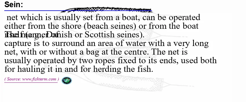 Image: Definition of sein Image: Definition of sein
