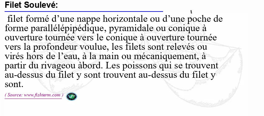 Image: Definition of filet soulevé