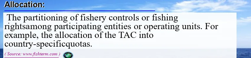 Image: Definition of allocation Image: Definition of allocation