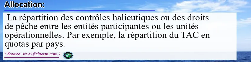 Image: Definition of allocation