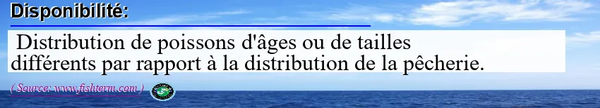 Disponibilité Disponibilité