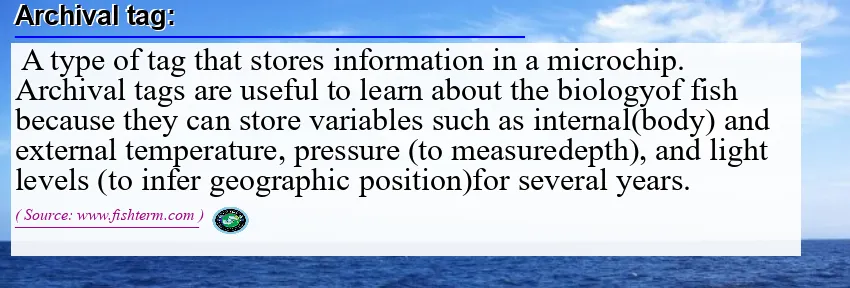Image: Definition of archival tag