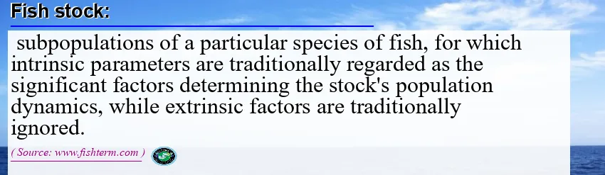 Image: Definition of fish stock Image: Definition of fish stock