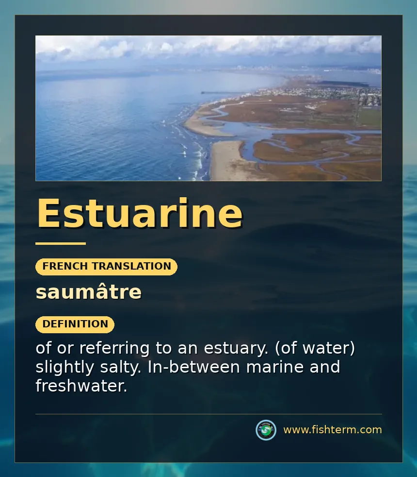 estuarine