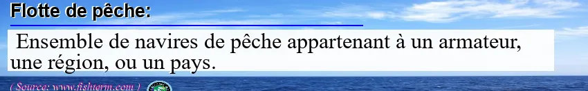 Image: Definition of flotte de pêche