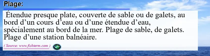 Image: Definition of plage