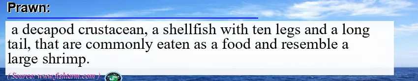 Image: Definition of prawn  Image: Definition of prawn