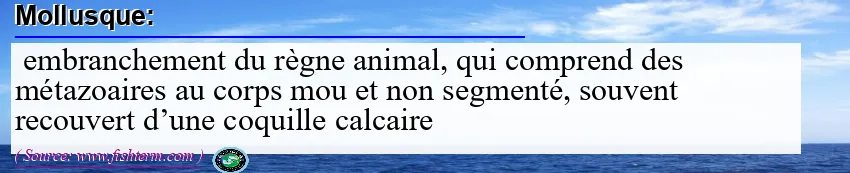 Image: Definition of mollusque