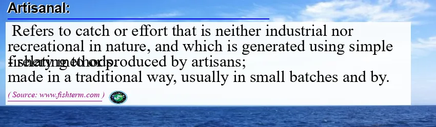 Image: Definition of artisanal