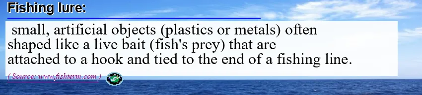 Image: Definition of fishing lure