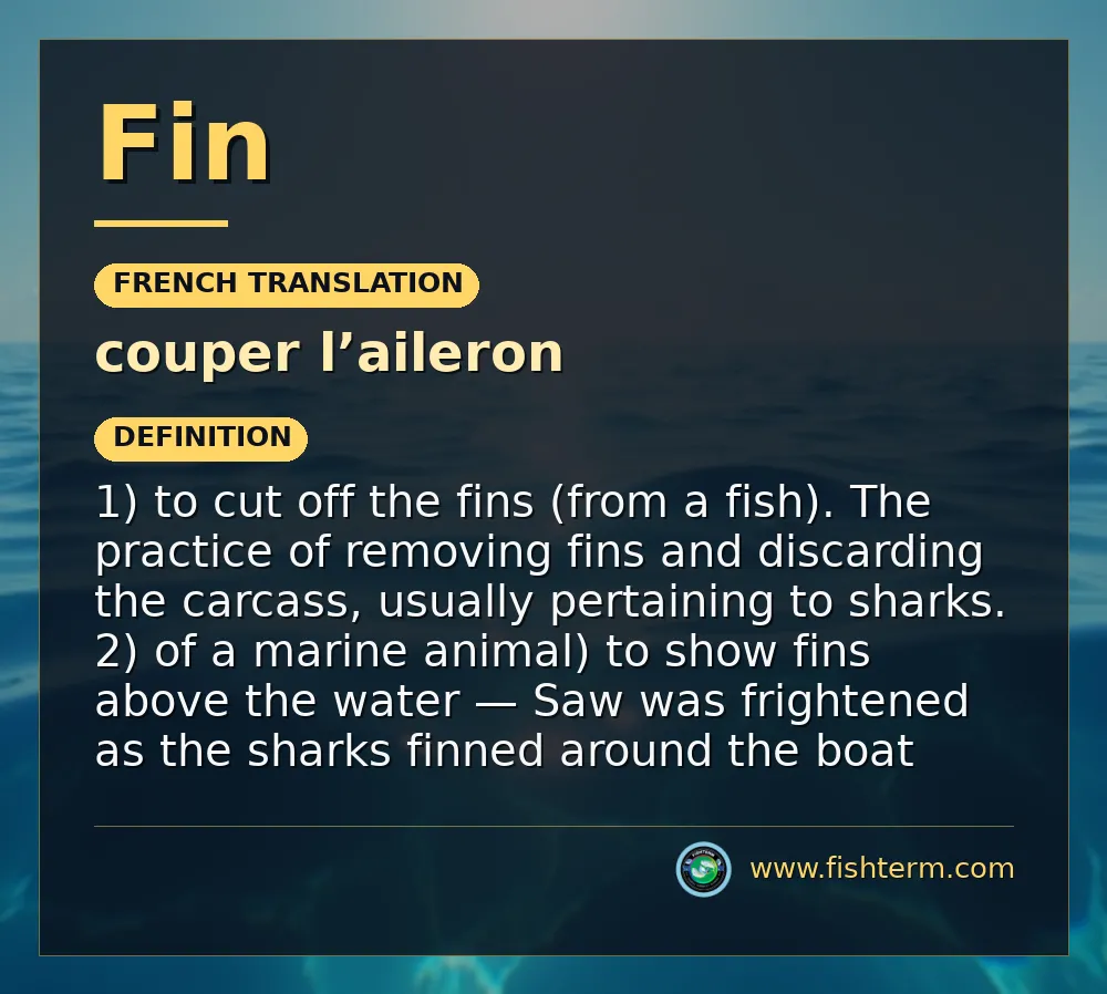 fin fin