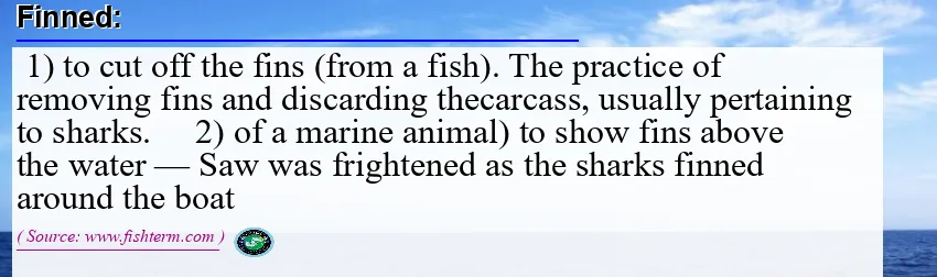 Image: Definition of fin