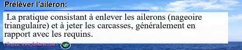 Image: Definition of couper l’aileron  Image: Definition of couper l’aileron