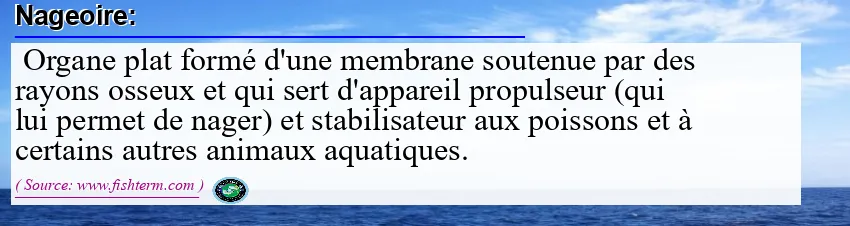 Image: Definition of nageoire  Image: Definition of nageoire