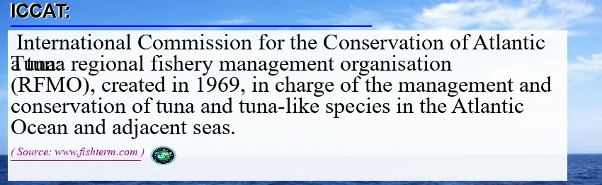 Image: Definition of ICCAT