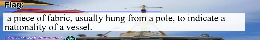 Image: Definition of flag