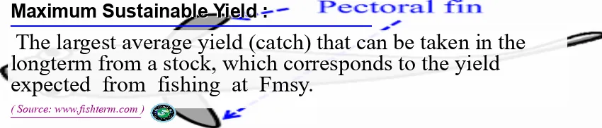 Image: Definition of maximum sustainable yield 