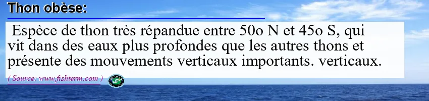 Image: Definition of thon obèse