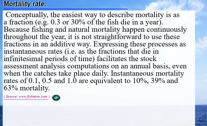 Image: Definition of mortality rate