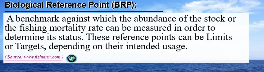 Image: Definition of biological reference point (brp)