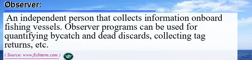 Image: Definition of observer