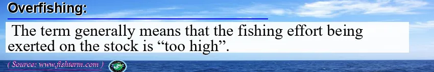 Overfishing Overfishing