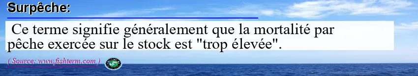 Image: Definition of surpêche