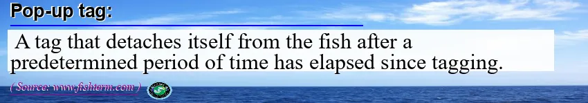 Image: Definition of pop-up tag