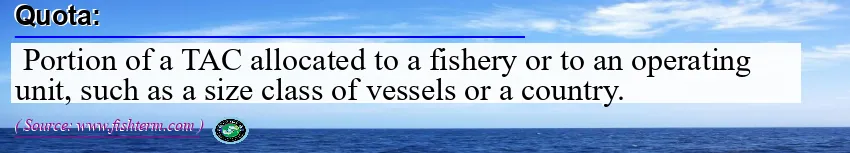 Image: Definition of quota