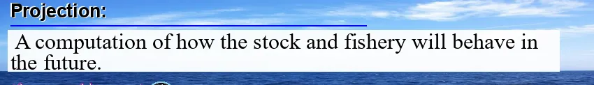 Image: Definition of projection
