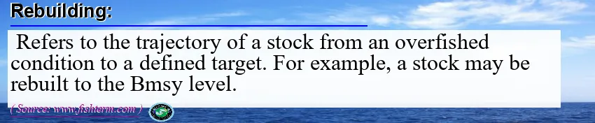 Image: Definition of rebuilding