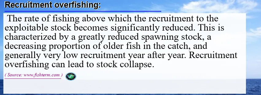 Recruitment overfishing